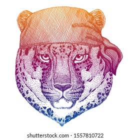 Leopard, panther, jaguar. Wild pirate or biker. Vector animal portrait. Sailor, motorcyclist. Print for children clothing, tee. Kids fashion.