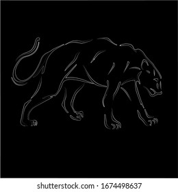 leopard panther line art drawing. vector illustration isolated  black background