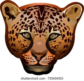 Leopard panther shiny business logo vector isolated