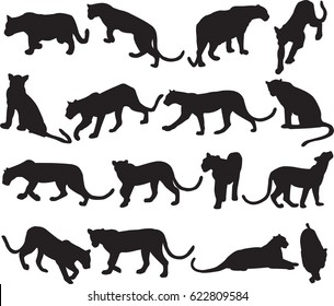 Leopard or panther silhouette contour