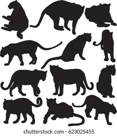 Leopard or panther silhouette contour