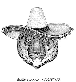 Leopard, panther wearing sombero Vector illustration Old classic vintage style illustration for t-shirt, poster, banner, embem, badge, tattoo, zoo