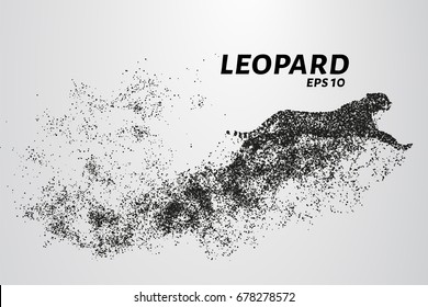 Leopard of particles. The leopard consists of circles and points. Vector illustration