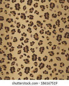 leopard pattern