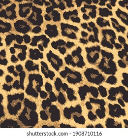 Leopard pattern, animal fur, Leopard spotted skin texture. Vector illustration.