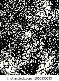 Leopard pattern design, vector illustration background