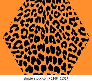 Leopard pattern design, vector illustration background