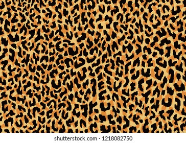 Leopard pattern design, vector illustration background