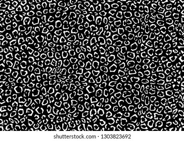 Leopard pattern design, vector illustration background