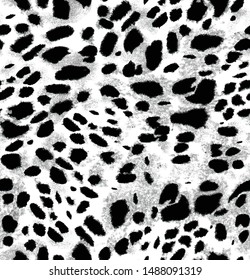 Leopard pattern design, vector illustration background