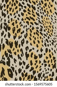 Leopard pattern design, vector illustration background