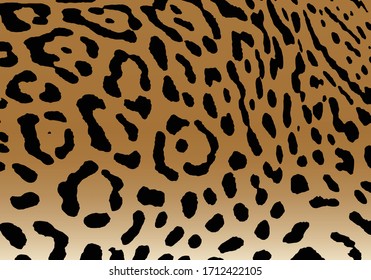 Leopard pattern design, vector illustration background