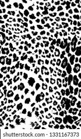 Leopard Pattern Fashion