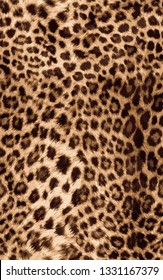 Leopard Pattern Fashion