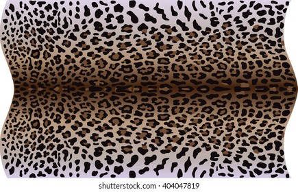 Leopard pattern isolated on white background. Panther skin. Animal  print. 