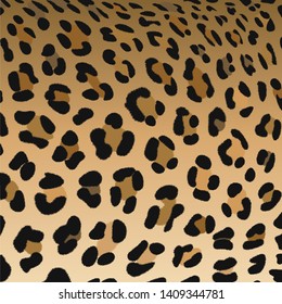 leopard pattern print, vector illustration, background, fluffy