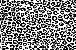 Leopard Pattern Texture Repeating Seamless Monochrome Black White