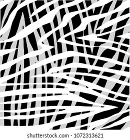 leopard pattern in vector