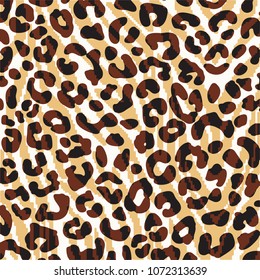 leopard pattern in vector