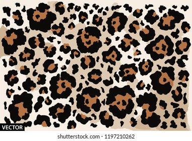 leopard pattern vector