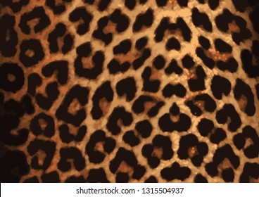 Leopard pattern vector design, wild animal pattern background or texture close up - material