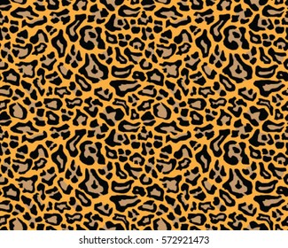 Leopard pattern  vector, illustration 