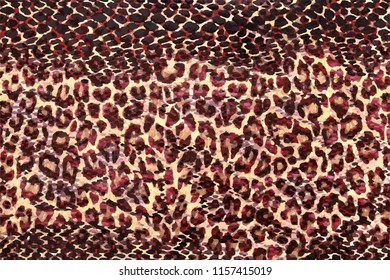 Leopard pattern wild