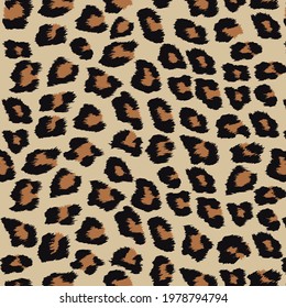 leopard pattern work footage vector