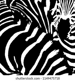 Leopard pattern,animal pattern,wild animal print