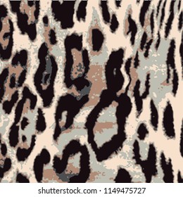 Leopard pattern,animal pattern,wild animal print