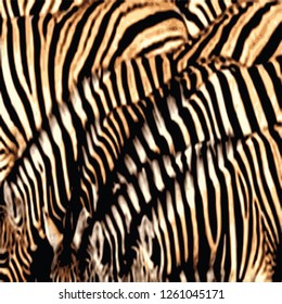 Leopard pattern,animal pattern,wild animal print 