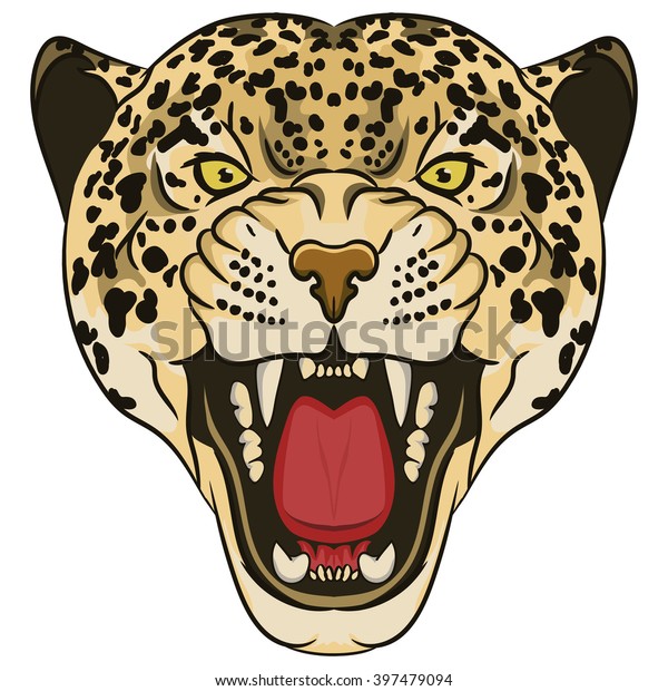 leopard style cat
