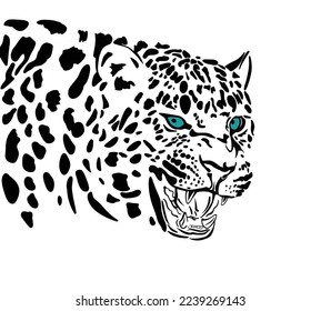 Leopard portrait with blue eyes, drawing illustrations design 