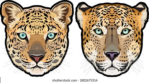 Leopard portrait detailed vector illustration