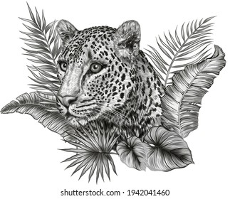 retrato de leopardo en hojas de palma ilustración vectorial de dibujo en blanco y negro