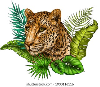 leopard portrait in palm leaves color drawing vector illustration