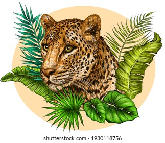 leopard portrait in palm leaves color drawing vector illustration