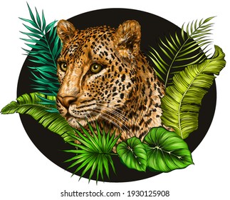 leopard portrait in palm leaves color drawing vector illustration