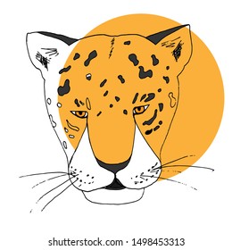 leopard predator from the jungle.on white background. Ready-made illustrations for postcards, posters, stickers, Souvenirs, notebooks, calendars, design.
Hand-drawn.Cartoon style. Vector