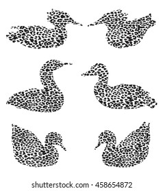 Leopard Print Illustration Logo Vectors of Birds and Ducks