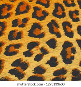 Leopard print pattern