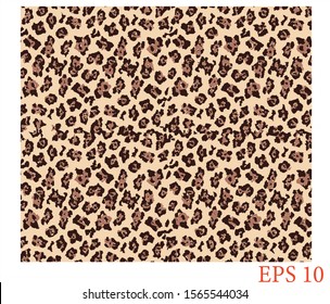 Leopard Print, Leopard Print pattern 