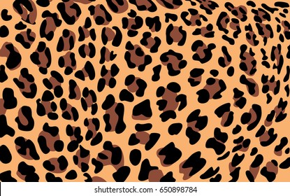 Leopard print pattern, animal skin texture 