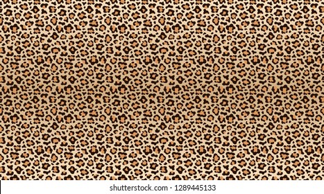 Leopard print pattern. Seamless pattern of leopard skin. Fashionable cheetah fur texture. Vector