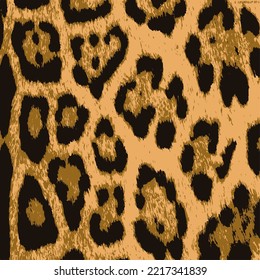 Leopard print texture.Leopard skin texture