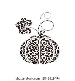 Leopard Pumpkin isolated on a white background