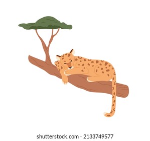 Leopard relaxing on branch. Wild African feline sleeping in jungle. Tropical spotted mammal. Africa inhabitant. Exotic carnivore lying, resting. Flat vector illustration isolated on white background