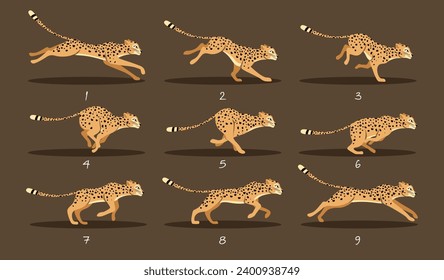 Leopard Run cycle. Set of Animation frames or sprite sheet. Cheetah rush and chases prey. Savannah wild animal in motion. Design for video. Cartoon flat vector collection isolated on brown background