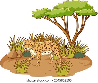 Leopard in savannah forest on white background illustration