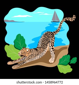 The leopard of the sea. Leopard lying on the beach. Big spotted cat